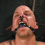 Captive Male Picture